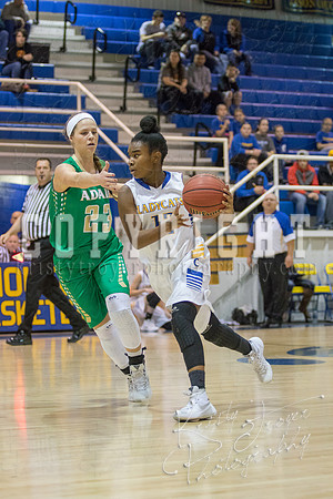 CHOUTEAU_VS_ADAIR_BASKETBALL_©KTROYERPHOTO-6915