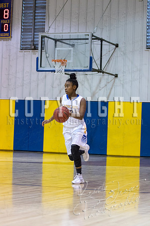 CHOUTEAU_VS_ADAIR_BASKETBALL_©KTROYERPHOTO-6890