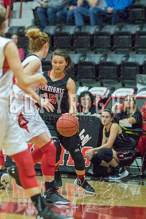 locustgrove_vs_verdigris_basketball_©KTROYERPHOTO-8650