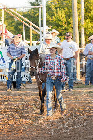 mayes_county_fair_horses-2131