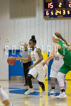CHOUTEAU_VS_ADAIR_BASKETBALL_©KTROYERPHOTO-6929