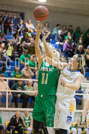 CHOUTEAU_VS_ADAIR_BASKETBALL_©KTROYERPHOTO-6988