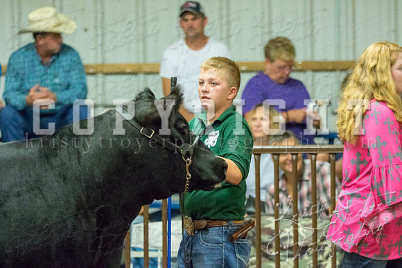 MAYES_COUNTY_FAIR_heifer-4132