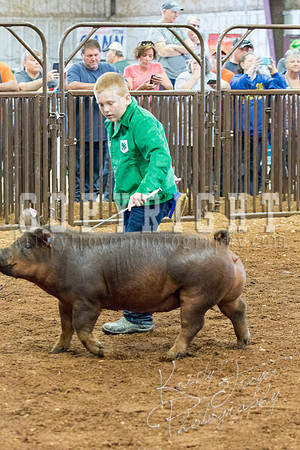 MAYES_COUNTY_FAIR_Swine-9509