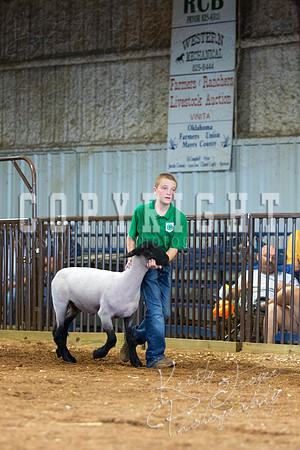 MAYES_COUNTY_FAIR_SHEEP-3100
