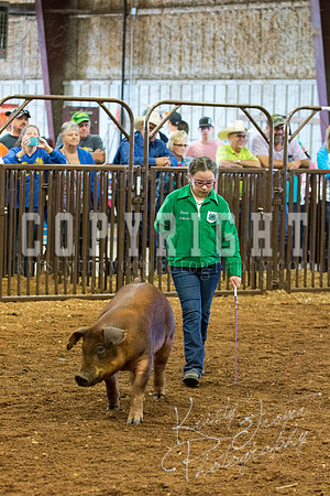 MAYES_COUNTY_FAIR_Swine-9511