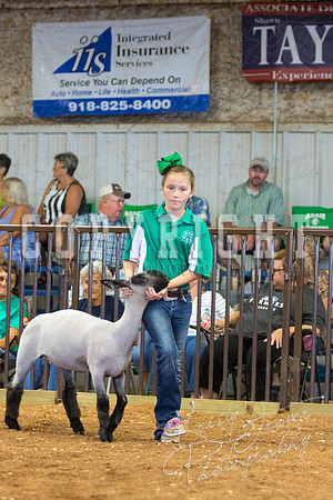 MAYES_COUNTY_FAIR_SHEEP-2937