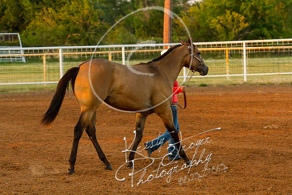 IMG_0025©KRISTYTROYER