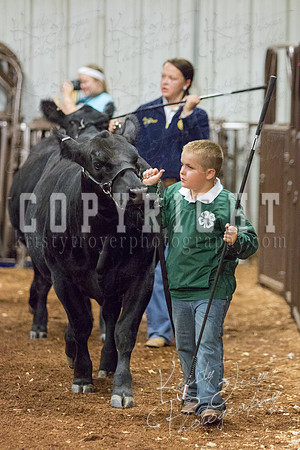 MAYES_COUNTY_FAIR_heifer-4115