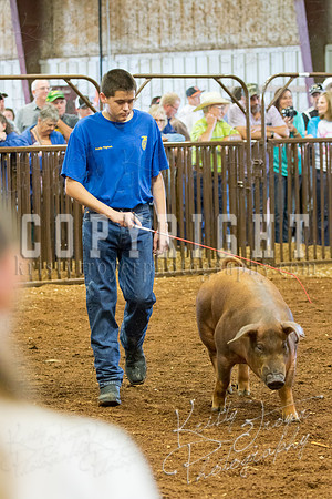 MAYES_COUNTY_FAIR_Swine-9516