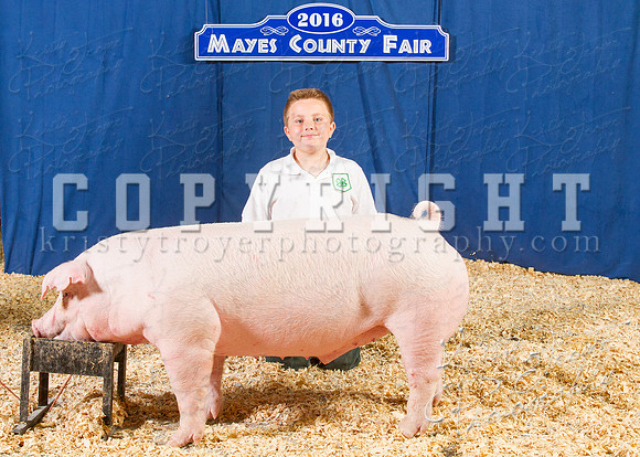 Mayes_County_Fair_Backdrop-0625