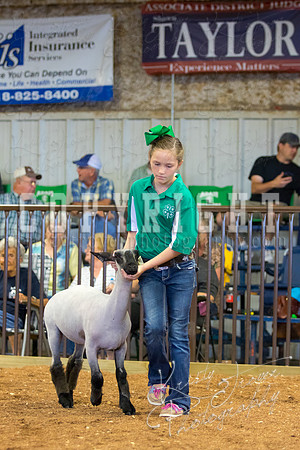 MAYES_COUNTY_FAIR_SHEEP-2938