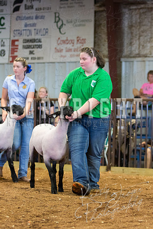 MAYES_COUNTY_FAIR_SHEEP-3108