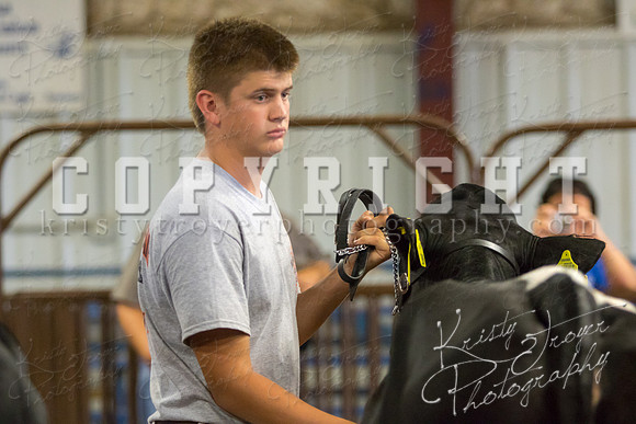 MAYES_COUNTY_FAIR_DAIRY-3346