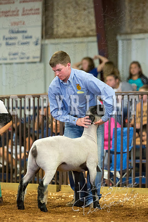 MAYES_COUNTY_FAIR_SHEEP-2952