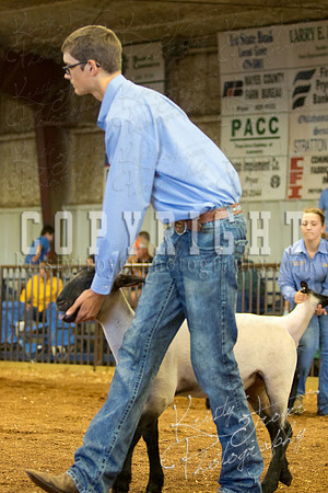 MAYES_COUNTY_FAIR_SHEEP-3090