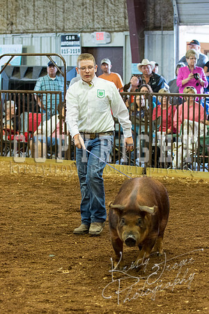 MAYES_COUNTY_FAIR_Swine-9545
