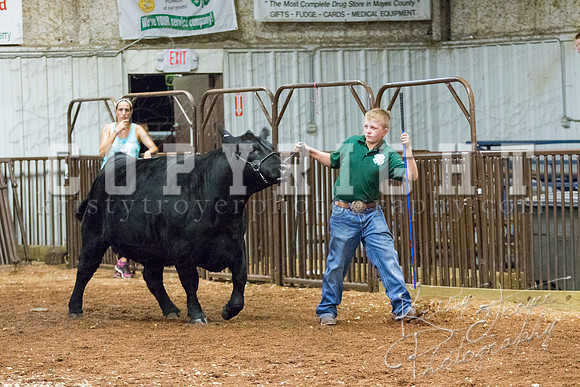 MAYES_COUNTY_FAIR_heifer-4129