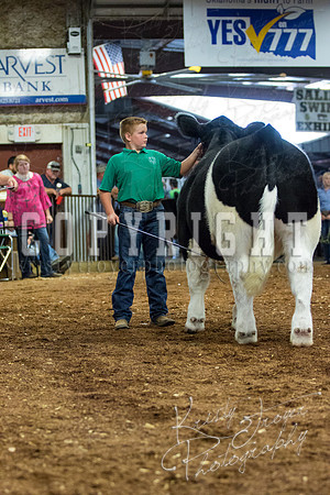MAYES_COUNTY_FAIR_steer-4043