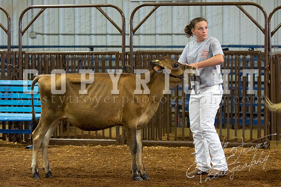 MAYES_COUNTY_FAIR_DAIRY-3443