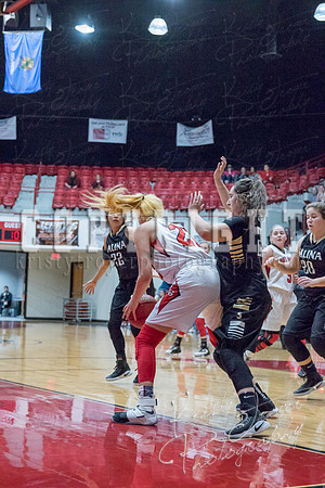 locustgrove_vs_salina_basketball-9321