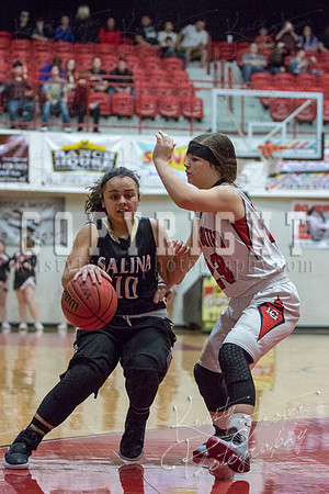 locustgrove_vs_salina_basketball-9411