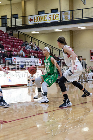 adair_vs_verdigris_basketball-9013