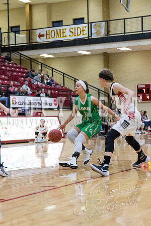 adair_vs_verdigris_basketball-9012