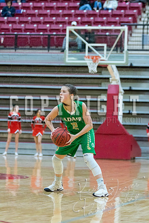 adair_vs_verdigris_basketball-9055