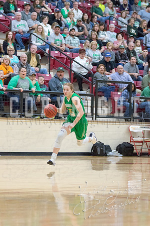 adair_vs_verdigris_basketball-9071