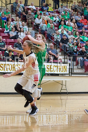 adair_vs_verdigris_basketball-9075