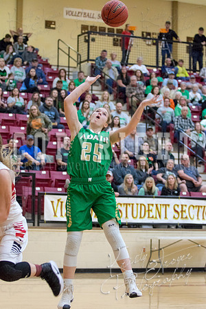adair_vs_verdigris_basketball-9078