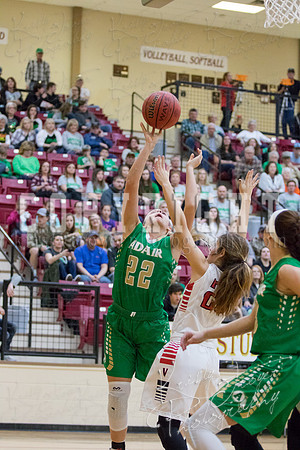 adair_vs_verdigris_basketball-9098