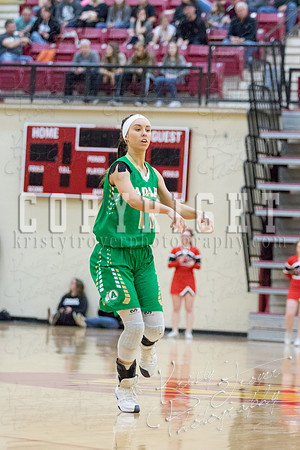 adair_vs_verdigris_basketball-9104