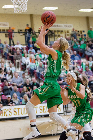 adair_vs_verdigris_basketball-9128
