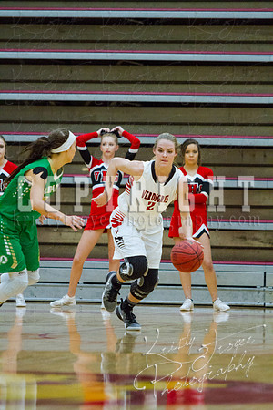adair_vs_verdigris_basketball-9219
