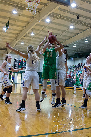 adair_vs_newkirk_basketball-1305
