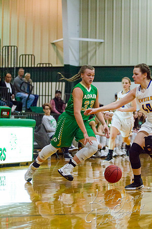 adair_vs_newkirk_basketball-9039
