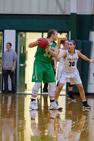 adair_vs_newkirk_basketball-9062