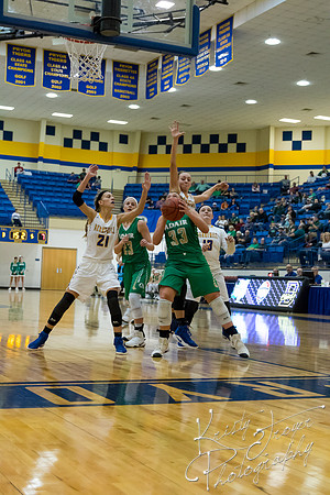 adair_vs_berryhill_basketball-7589