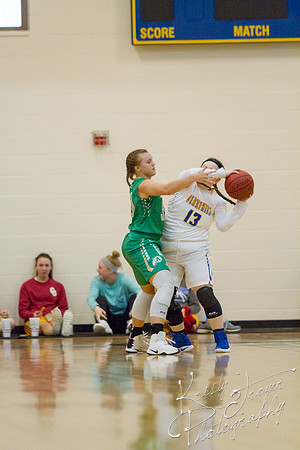 adair_vs_berryhill_basketball-4405