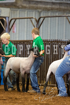 MAYES_COUNTY_FAIR_SHEEP-3125