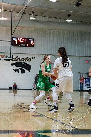 salina_vs_adair_basketball-9579
