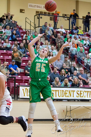adair_vs_verdigris_basketball-9078