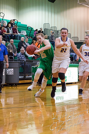 adair_vs_newkirk_basketball-1334