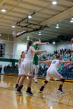 adair_vs_newkirk_basketball-8796