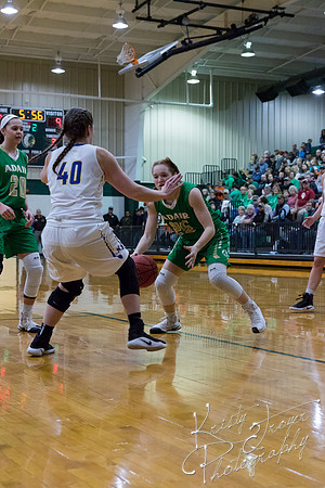 adair_vs_newkirk_basketball-8801