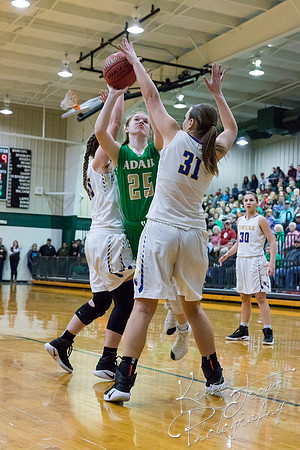 adair_vs_newkirk_basketball-8803