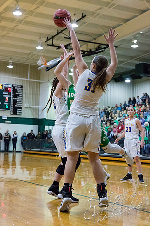 adair_vs_newkirk_basketball-8804