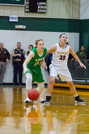 adair_vs_newkirk_basketball-9058